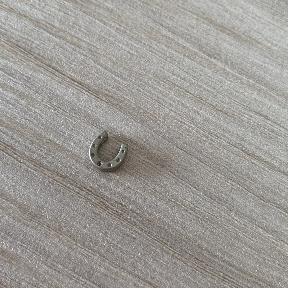 Horseshoe Charm